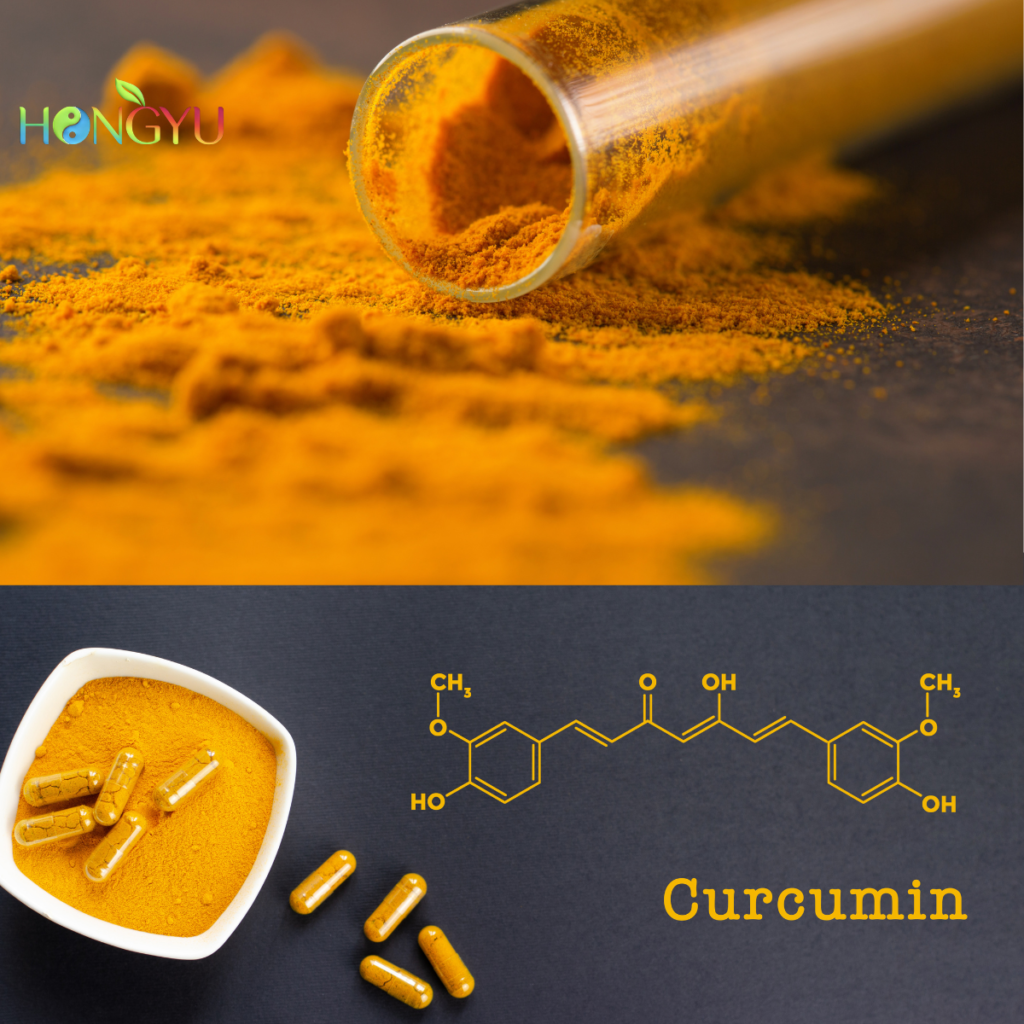 Curcumin-hongyustarry