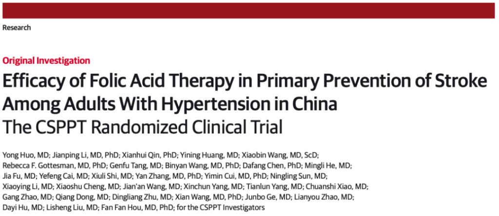 Research  on Folic Acid's efficacy in Primary Prevention of Stroke by Yantai Hongyu Starry Biotech Co.,Ltd.