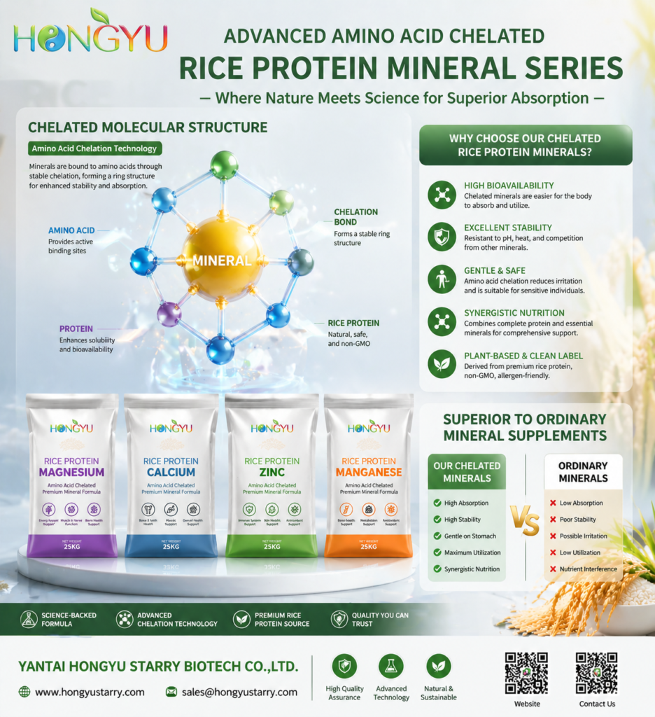 Diagram of the PEPT1 absorption pathway for Rice Protein Chelated minerals. Hongyu Starry