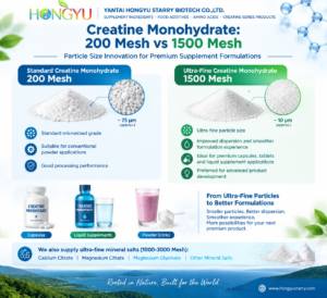 Beyond 200 Mesh: The B2B Technical Guide to 1000–3000 Mesh Micronized Minerals and Functional Ingredients